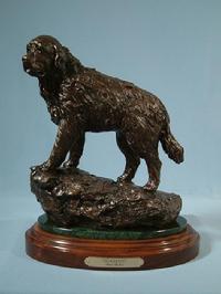 Newfoundland dog