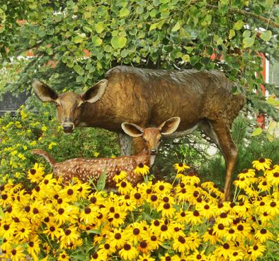 Whitetail Doe & Fawn
